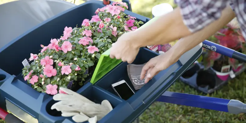 original Little Burros on wheelbarrow